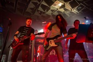 Robin, Marvin, Wolle